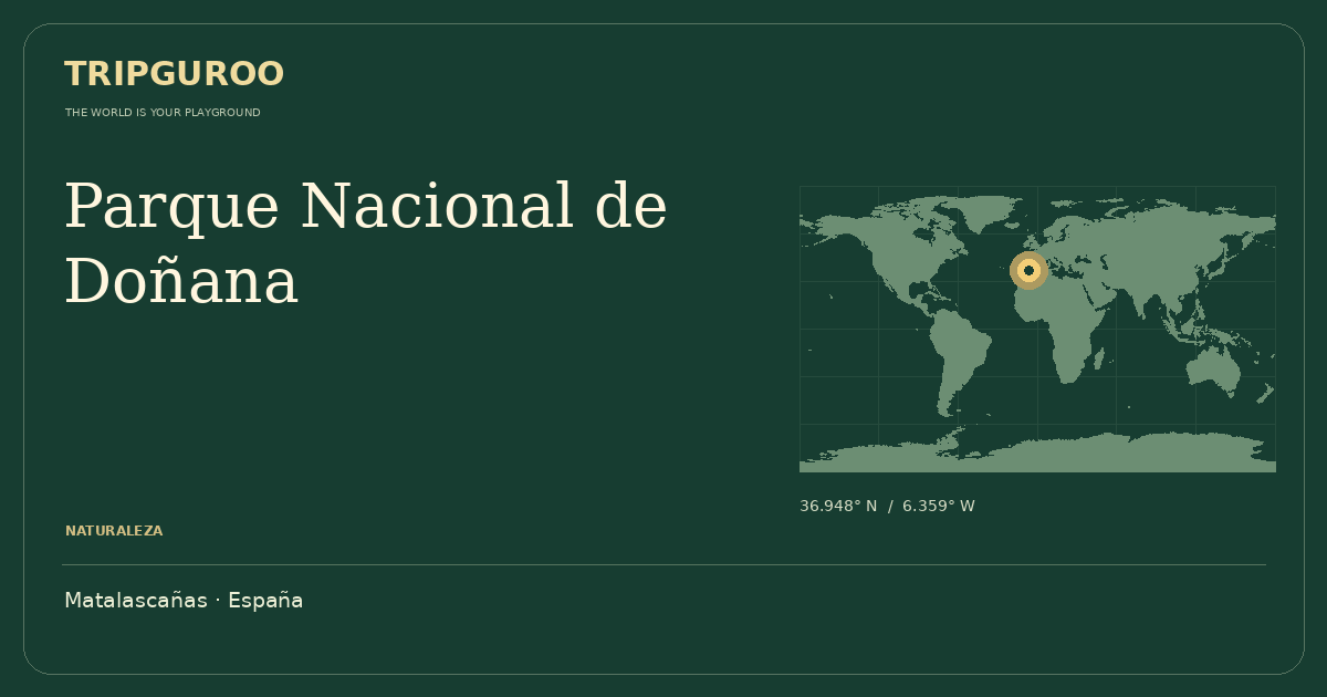 Vista previa de tu postal